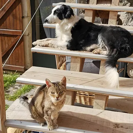 Maison D'hôte -au Balcon De L'obiou 3* Les Cotes de Corps